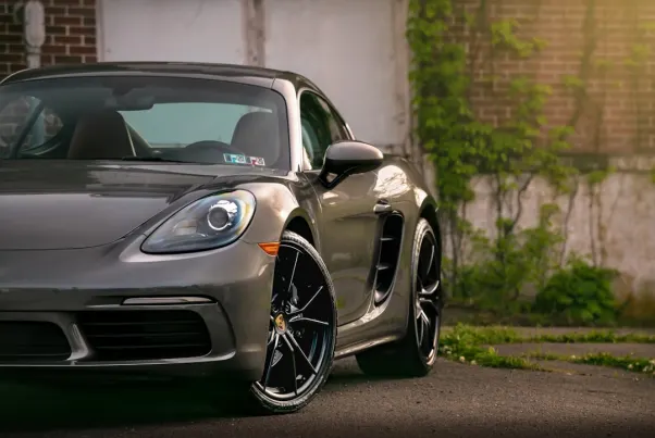 Kazino Spin Pug Android/iOS Lietotne